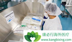 CAR-Tϸ�����Ʒ���KYMRIAH��Yescarta��չ���澺��