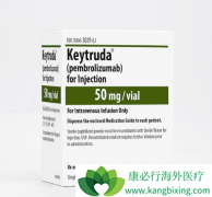 ����ж���Щ��֢����ʹ��PD-1���Ƽ������ܹ���Ч��