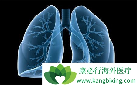 肺癌腺癌 肺癌腺癌