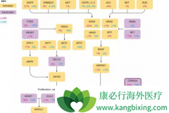 �ΰ��ٰ��ͷΰ��۰���һ����ԭ��