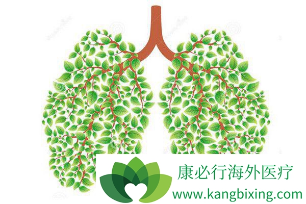 �ΰ����ڻ��ܻ���