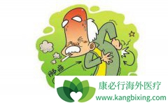 �ΰ����ڳ�ʲô����Щʳ��Ӧ���ǽ���