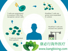 ��ôȥ��������CAR-Tϸ�����Ʒ�����CAR-Tϸ�����Ƶķ��ã�