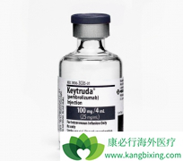 PD-1���Ƽ�����ҩ��PD-1���Ƽ����ư�֢Ч����ô����