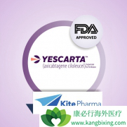 ��β���ʹ��ŵ�����µ�CAR-Tϸ�����Ʒ���KYMRIAH���ƣ�