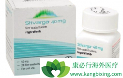 ������REGORAFENIB����ҩ������ע������