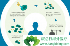 CAR-Tϸ���Ʒ�ֻ������ѪҺ������CAR-Tϸ���Ʒ���Ӧ֢��ȫ��