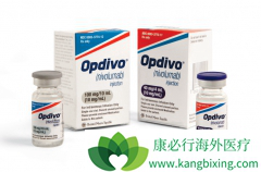 PD-1���Ƽ�Opdivo����������Ч����ô������ô��Opdivo��