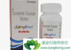 �����������ᣨSORAFENAT���ܽ��͸ΰ����󸴷�������