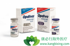 PD-1���Ƽ����䵥����Opdivo�����Ƹΰ�Ч����ô����