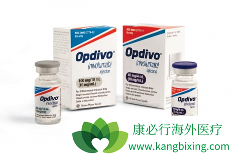 纳武单抗 纳武单抗