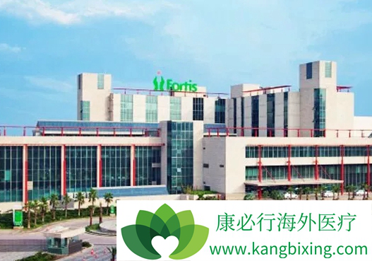 ҽ������