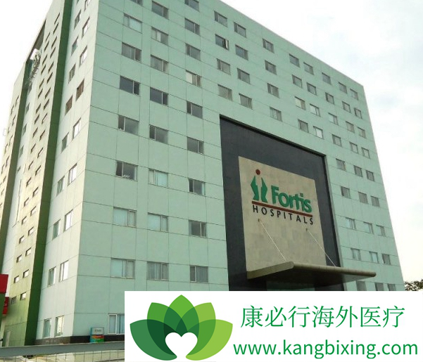 ҽ������