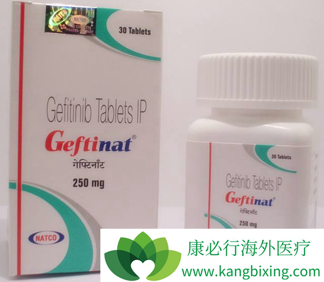 吉非替尼说明书 吉非替尼说明书