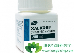 ���ÿ������ᣨXalkori�����ƿ��ӳ��ΰ�������������