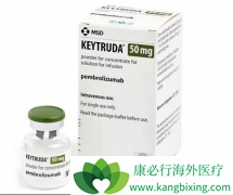 PD-1���Ƽ����ư�֢Ч����ô������ôȥ�����PD-1���Ƽ���