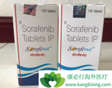 �ΰ���ʲô����²����ö༪������