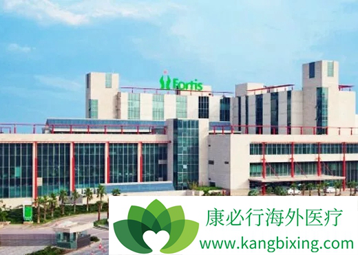 海外医疗 海外医疗