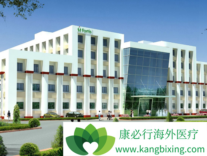 海外医疗 海外医疗