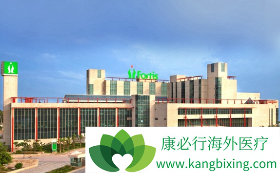 医疗旅游 医疗旅游