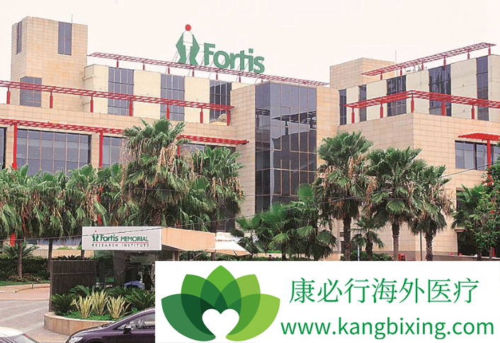 ҽ������