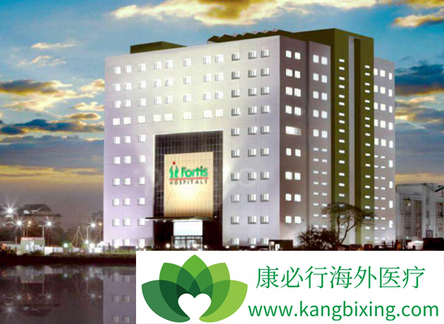 ҽ������