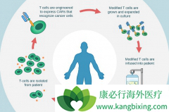 ��ҹ�˾�Ķ���CAR-T�Ʒ��ڲ�ͬ�İ�֢��������չ����������