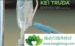 ��֢�����Ʒ�PD-1���Ƽ������û��ƣ���ô�ڹ�����PD-1���Ƽ���
