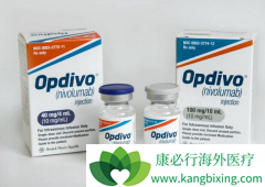 ��֢����������ʱ����PD-1���Ƽ�Ӧ��ѡ���ĸ���