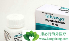 �����ᣨREGORAFENIB����������ƽ�ֱ�����ģ�