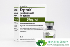 PD-1���Ƽ���ķ���������ٰ�����Ǳ��������ҩ��