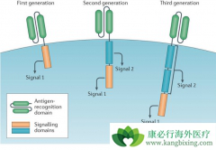 ʲô��CAR-T��CAR-T��������֢��