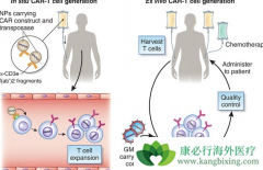 CAR-T����������������CAR-T��Ч����