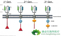 CAR-Tϸ���Ʒ�����Щ�����ã�CAR-T������������
