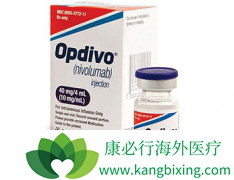 ���䵥����nivolumab��������ƥ��������������������������Ч����
