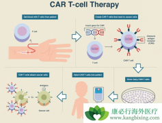 CAR-Tϸ���Ʒ��ļ����Ľ��Լ��г�����