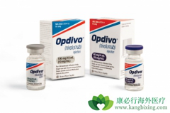 ���䵥����nivolumab)�����ڷΰ������Ʒ�����ҩ