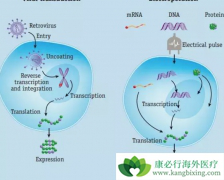 ��������������CAR-T���������������