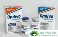 PD-1�������䵥����nivolumab�������ӳ��ΰ���������ʱ����