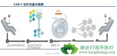CAR-T�Ʒ�ʵ�ֲ�ҵ����ȫ��İ�֢���ߴ���ϣ��