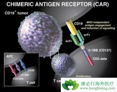 CAR-T�Ʒ���������ϸ����������ϸ��