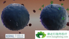 CAR-T�Ʒ��ļ������ƺͼ�������������