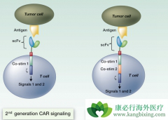 CAR-Tϸ���Ʒ���Ϊ��Ҫ���Ʒ�ǰ�迼�ǰ�ȫ������