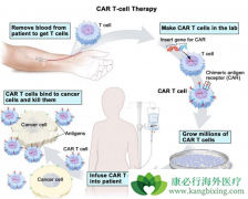 Ŀǰ���е�����CAR-Tϸ�����Ʒ���������ѪҺ����������