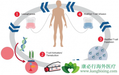 ��ζ�CAR-T�����Ʒ����и���ʹ֮����ȫ