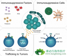 ŵ����ҩ��Kymriah��CAR-T�Ʒ���������̱�