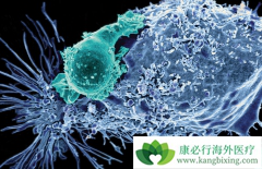 CAR-T���������Ķ�����������Щ