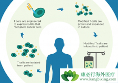 CAR-T�Էǰп�ԭ�Ľ��涾����Ӧ����Щ����ν��