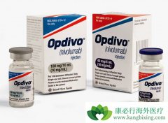 PD-1���Ƽ�Opdivo������������չ�������õ���Ч