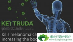 һ�����ƿ���ֱ��ʹ��PD-1����Keytruda������С